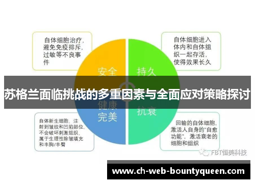 苏格兰面临挑战的多重因素与全面应对策略探讨 苏格兰面临挑战的多重因素与全面应对策略探讨