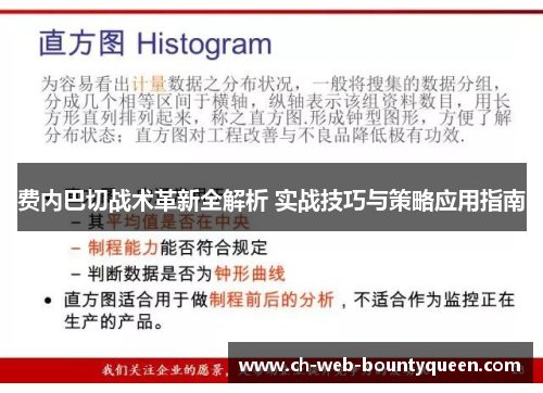 费内巴切战术革新全解析 实战技巧与策略应用指南