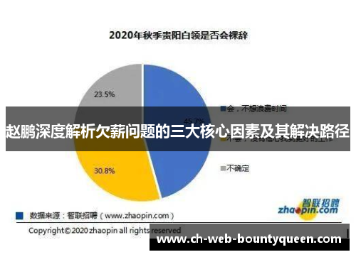 赵鹏深度解析欠薪问题的三大核心因素及其解决路径
